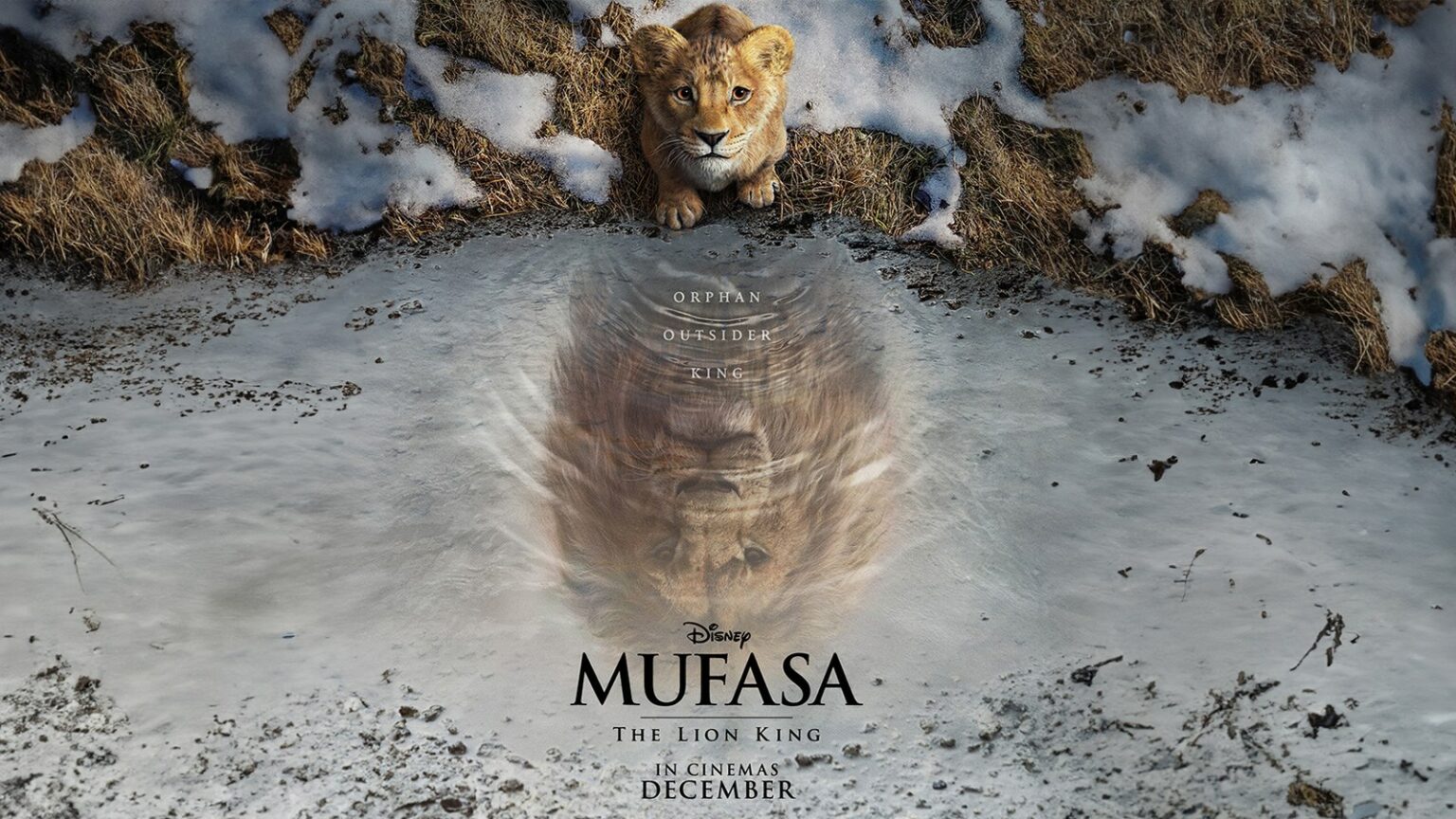 Mufasa Le Roi Lion