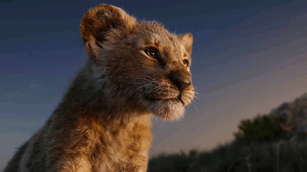 Roi Lion