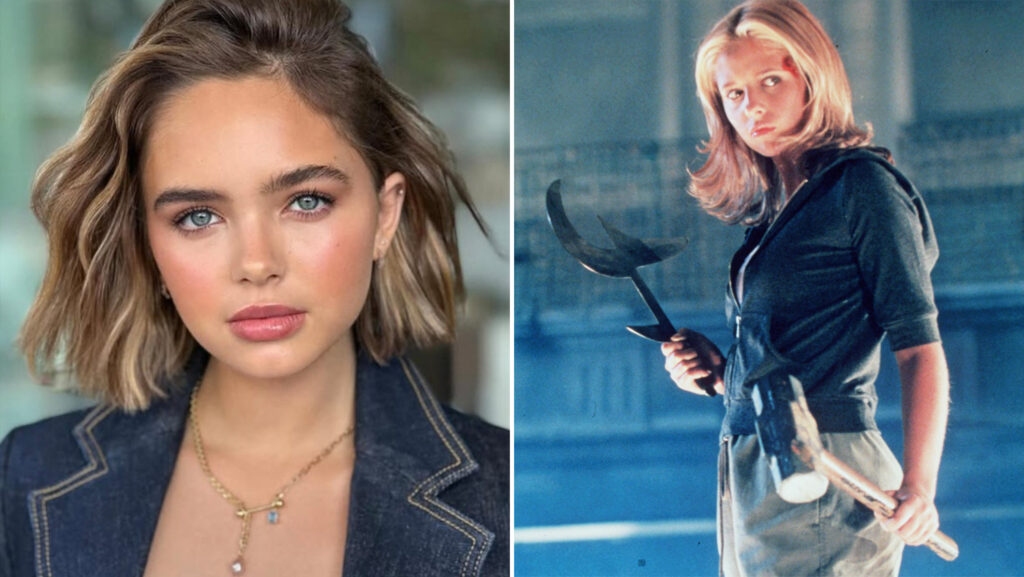 Buffy contre les Vampires