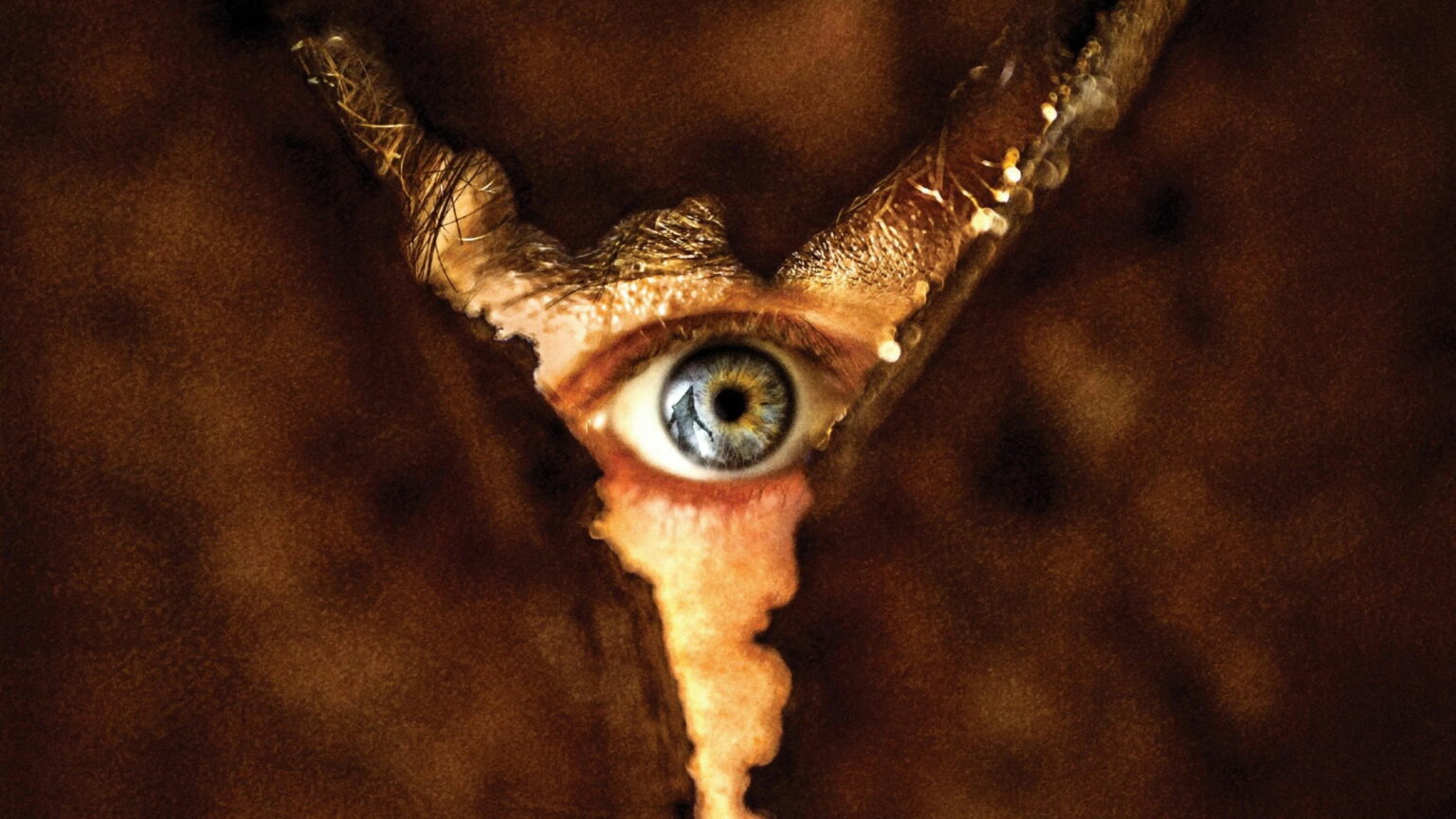 Retour à Silent Hill : Nouvelle bande annonce pour le film de Christophe Gans Silent Hill